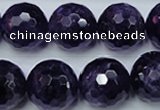 CNA256 15.5 inches 16mm faceted round natural amethyst beads