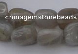 CNG1108 15.5 inches 10*14mm - 12*16mm nuggets moonstone beads