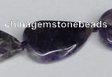 CNG1425 15.5 inches 22*30mm - 25*35mm freeform amethyst beads