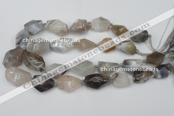CNG1712 15.5 inches 15*20mm - 20*30mm nuggets botswana agate beads