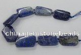 CNG2428 15.5 inches 25*35mm - 30*40mm freeform lapis lazuli beads