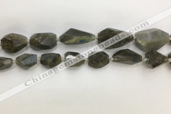 CNG3589 13*18mm - 15*30mm faceted nuggets labradorite beads
