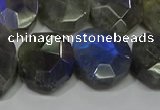 CNG5144 15.5 inches 15*18mm - 15*20mm faceted freeform labradorite beads