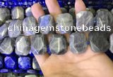CNG7480 15.5 inches 18*25mm - 20*28mm faceted freeform labradorite beads