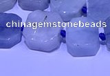 CNG7603 15.5 inches 12*14mm - 15*16mm freeform aquamarine beads