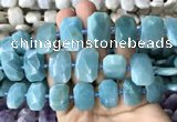 CNG7770 13*18mm - 15*25mm faceted freeform amazonite beads