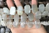 CNG7880 13*18mm - 15*25mm faceted freeform moonstone beads