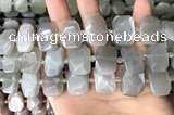 CNG7882 13*18mm - 15*25mm faceted freeform moonstone beads