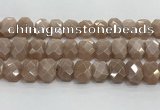 CNG8616 10*13mm - 12*16mm faceted freeform moonstone beads