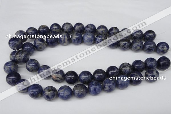 CRO422 15.5 inches 16mm round sodalite gemstone beads wholesale