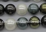 CSB1125 15.5 inches 14mm round mixed color shell pearl beads