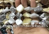 CSB2168 15.5 inches 16*16mm - 18*20mm baroque mixed shell pearl beads