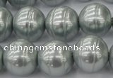 CSB646 15.5 inches 18mm whorl round shell pearl beads
