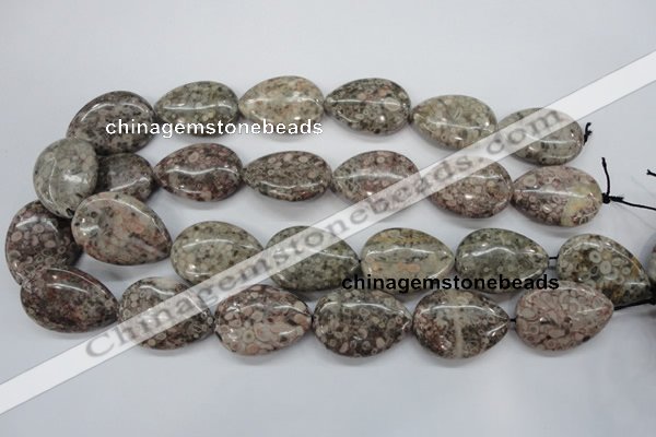 CSF04 15.5 inches 22*30mm flat teardrop shell fossil jasper beads