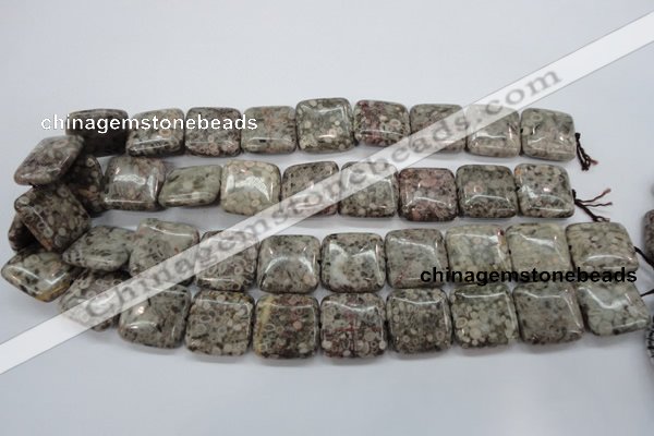CSF06 15.5 inches 20*20mm square shell fossil jasper beads