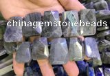 CTD2105 Top drilled 20*28mm - 22*32mm faceted freeform labradorite beads