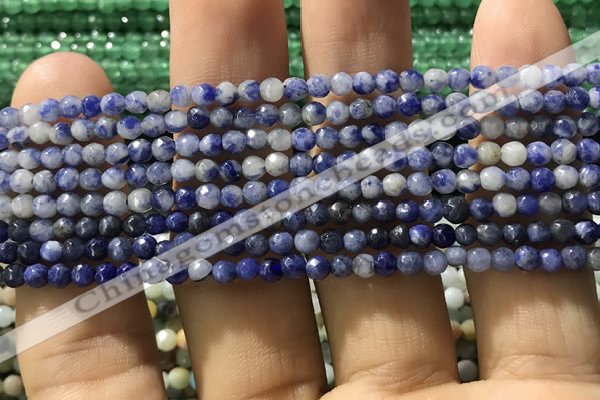 CTG1192 15.5 inches 3mm faceted round tiny blue spot stone beads