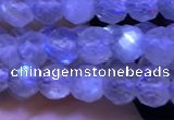 CTG1209 15.5 inches 4mm faceted round tiny labradorite beads