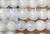 CTG1580 15.5 inches 4mm round white moonstone beads wholesale