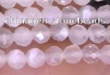 CTG1601 15.5 inches 3mm faceted round tiny white moonstone beads