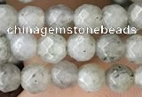 CTG3585 15.5 inches 4mm faceted round labradorite beads