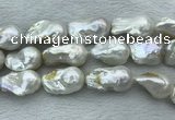 FWP368 15 inches 18mm - 22mm baroque freshwater nucleated pearl beads