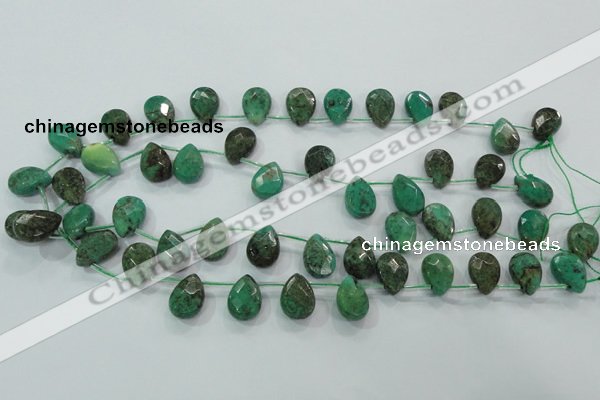 CAA102 15.5 inches 12*16mm briolette grass agate gemstone beads