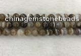 CAA1824 15.5 inches 12mm round banded agate gemstone beads