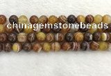 CAA1863 15.5 inches 10mm round banded agate gemstone beads