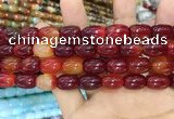 CAA2120 15.5 inches 10*14mm drum agate beads wholesale