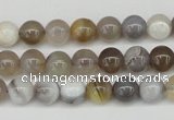 CAA224 15.5 inches 8mm round botswana agate gemstone beads