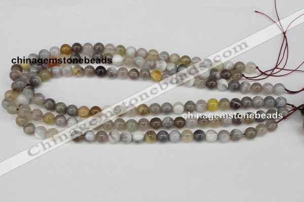 CAA224 15.5 inches 8mm round botswana agate gemstone beads