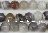 CAA225 15.5 inches 10mm round botswana agate gemstone beads