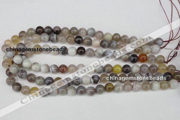 CAA225 15.5 inches 10mm round botswana agate gemstone beads