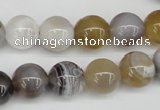 CAA226 15.5 inches 12mm round botswana agate gemstone beads