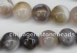 CAA227 15.5 inches 14mm round botswana agate gemstone beads