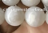 CAA2344 15.5 inches 12mm round white crazy lace agate beads wholesale