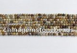 CAA2348 15.5 inches 4mm round crazy lace agate beads wholesale