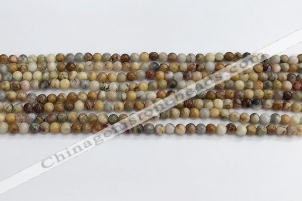 CAA2348 15.5 inches 4mm round crazy lace agate beads wholesale