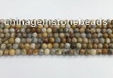 CAA2349 15.5 inches 6mm round crazy lace agate beads wholesale