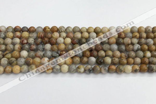 CAA2349 15.5 inches 6mm round crazy lace agate beads wholesale