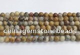 CAA2350 15.5 inches 8mm round crazy lace agate beads wholesale