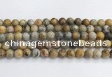 CAA2351 15.5 inches 10mm round crazy lace agate beads wholesale