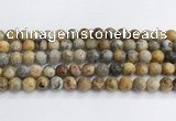 CAA2352 15.5 inches 12mm round crazy lace agate beads wholesale