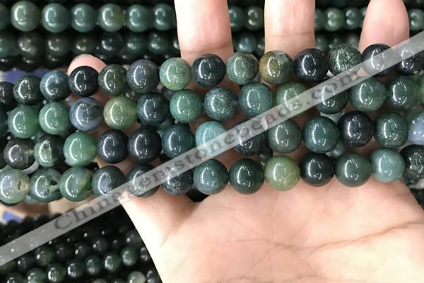 CAA2359 15.5 inches 10mm round moss agate beads wholesale