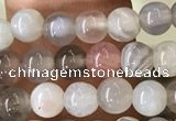 CAA2378 15.5 inches 4mm round Botswana agate beads wholesale