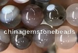 CAA2380 15.5 inches 8mm round Botswana agate beads wholesale