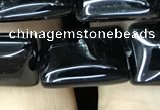 CAA2567 15.5 inches 12*16mm rectangle black agate beads wholesale