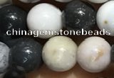 CAA3576 15.5 inches 6mm round parral dendrite agate beads