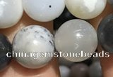 CAA3577 15.5 inches 8mm round parral dendrite agate beads